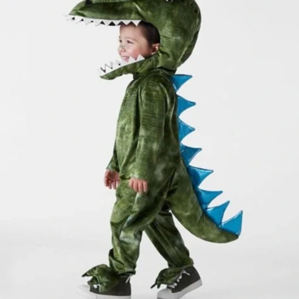 Pottery Barn Kids Dinosaur Costume